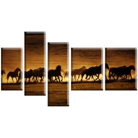 Tablouri canvas cai 3616