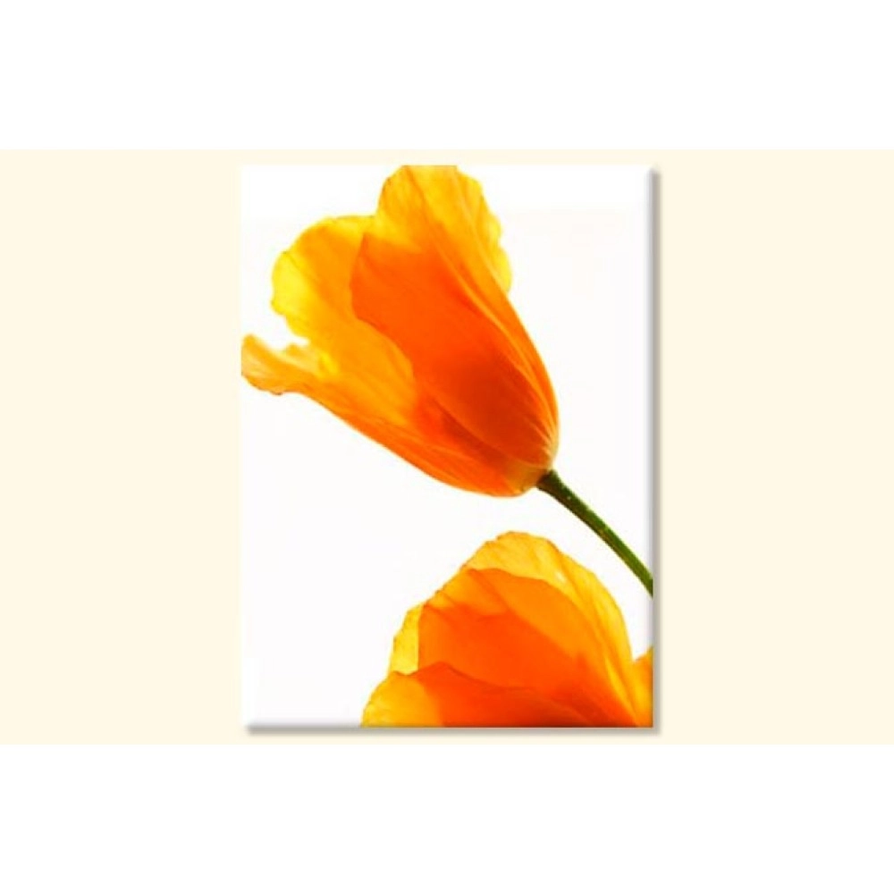 Tablouri canvas Lalele 4149