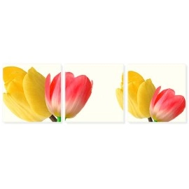 Tablouri canvas Lalele galbene si rosii 2209