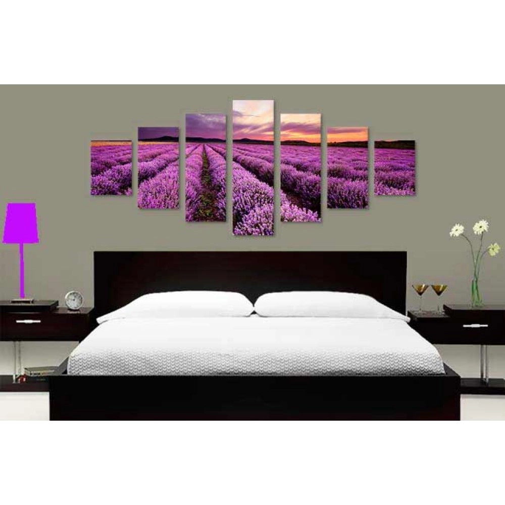 Tablouri canvas Lavanda la apus 6722