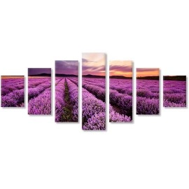 Tablouri canvas Lavanda la apus 6722