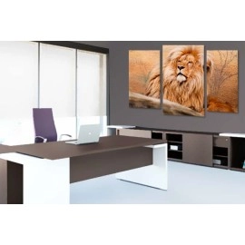 Tablouri canvas Leu in odihna 21774