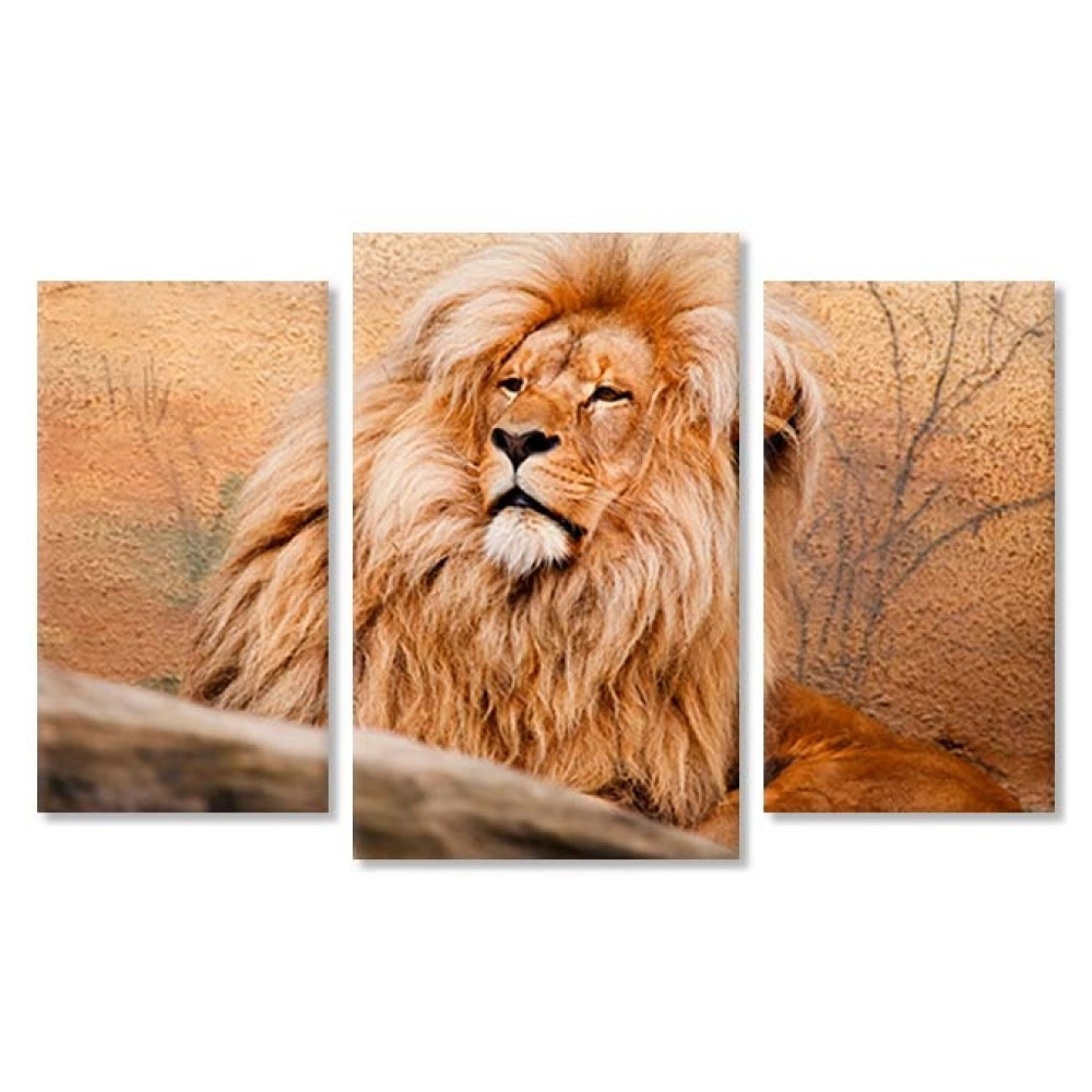 Tablouri canvas Leu in odihna 21774