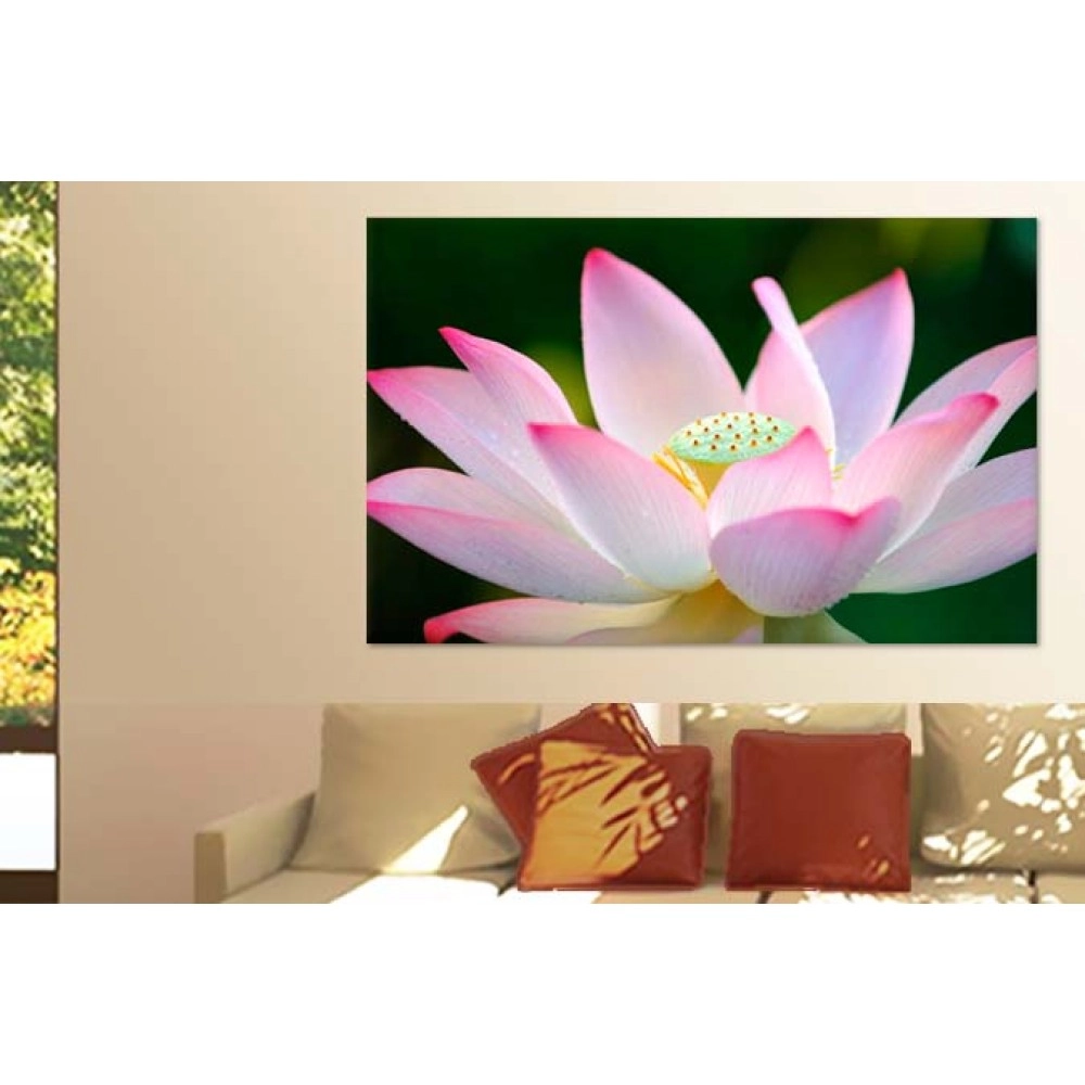 Tablouri canvas lotus 26708 Tablouri canvas lotus 26708