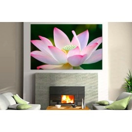 Tablouri canvas lotus 26708