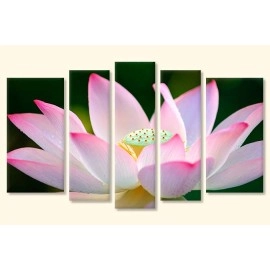 Tablouri canvas lotus 2608