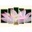 Tablouri canvas lotus 2608