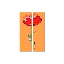 Tablouri canvas Floare de mac 5649