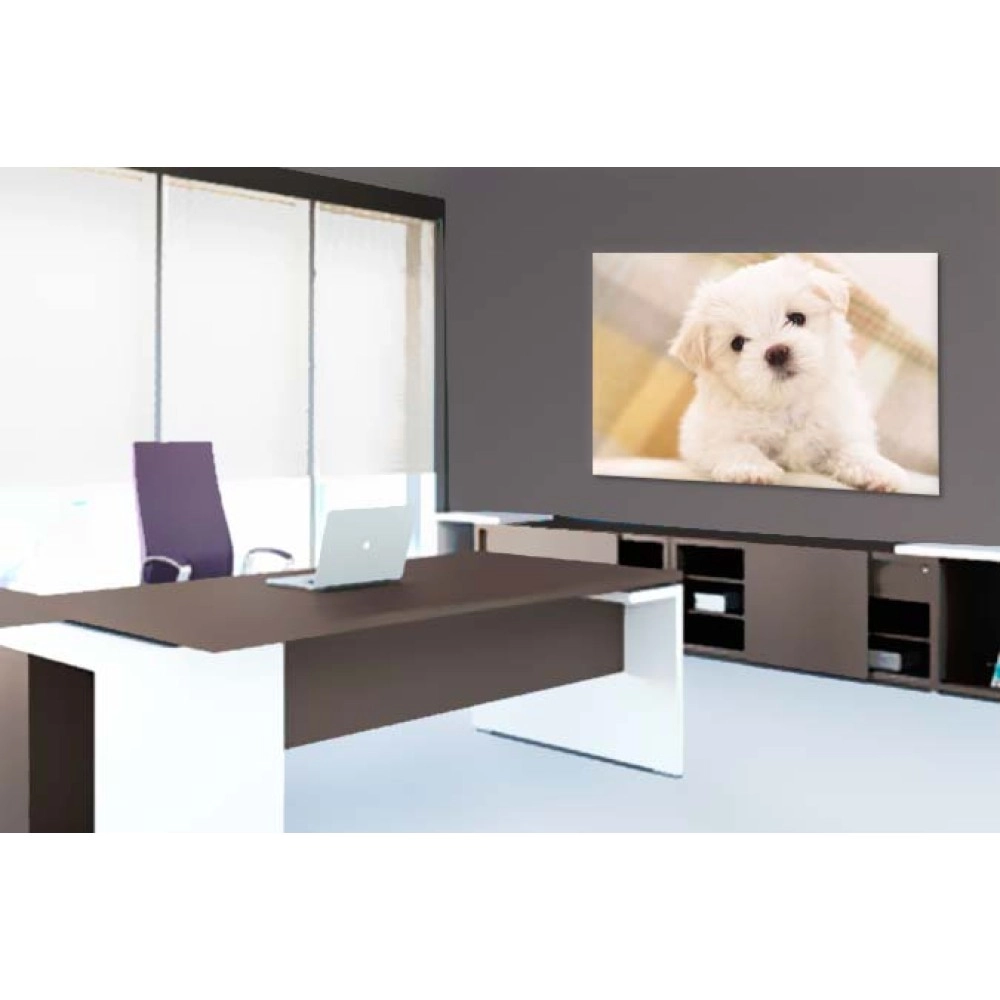 Tablouri canvas Bichon Maltese 7603