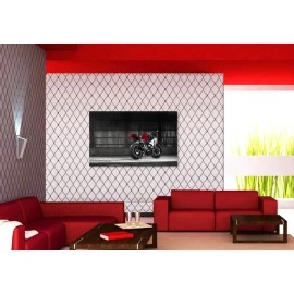 Tablouri canvas Moto 3331