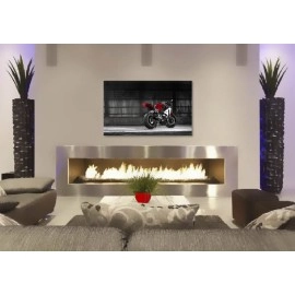 Tablouri canvas Moto 3331