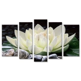Tablouri canvas Nufar zen si pietre 17469