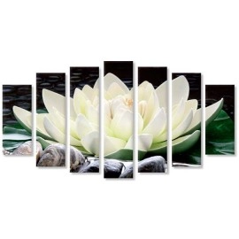 Tablouri canvas Nufar pe pietre 1769