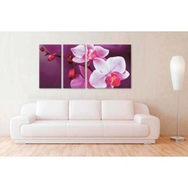 Tablouri canvas Orhidee pe mov 6521