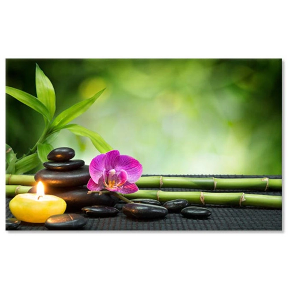 Tablouri canvas Orhidee si pietre 4065