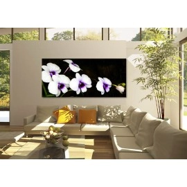 Tablouri canvas Orhidee alb si mov 2030