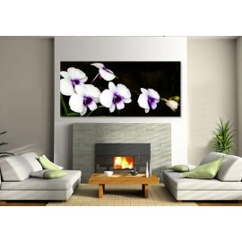 Tablouri canvas Orhidee alb si mov 2030