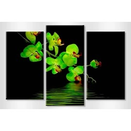 Tablouri canvas Orhidee verde 2212