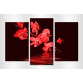 Tablouri canvas Orhidee rosie 22412