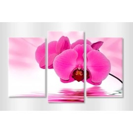 Tablouri canvas Orhidee lila 40215