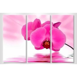 Tablouri canvas Orhidee mov 4015