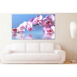 Tablouri canvas Orhidee in apa 64487