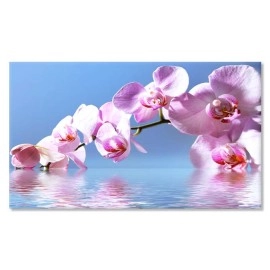 Tablouri canvas Orhidee in apa 64487