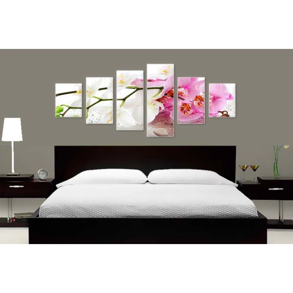 Tablouri canvas Orhidee alb-mov 8462