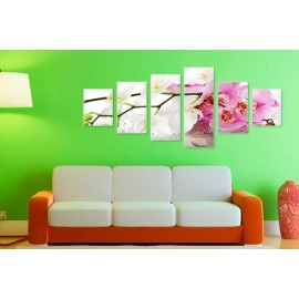 Tablouri canvas Orhidee alb-mov 8462