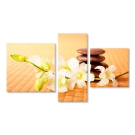 Tablouri canvas Orhidee si pietre 10442