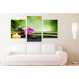 Tablouri canvas Pietre si orhidee 40865