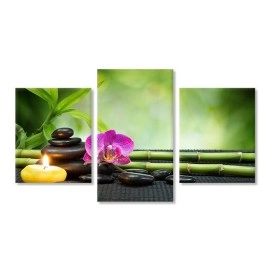 Tablouri canvas Pietre si orhidee 40865