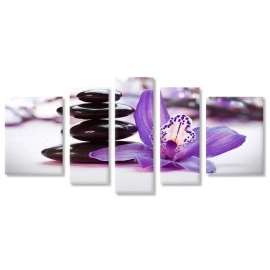 Tablouri canvas Orhidee mov si pietre 38955