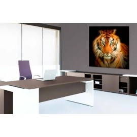 Tablouri canvas Portret Tigru 6886