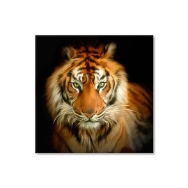 Tablouri canvas Portret Tigru 6886