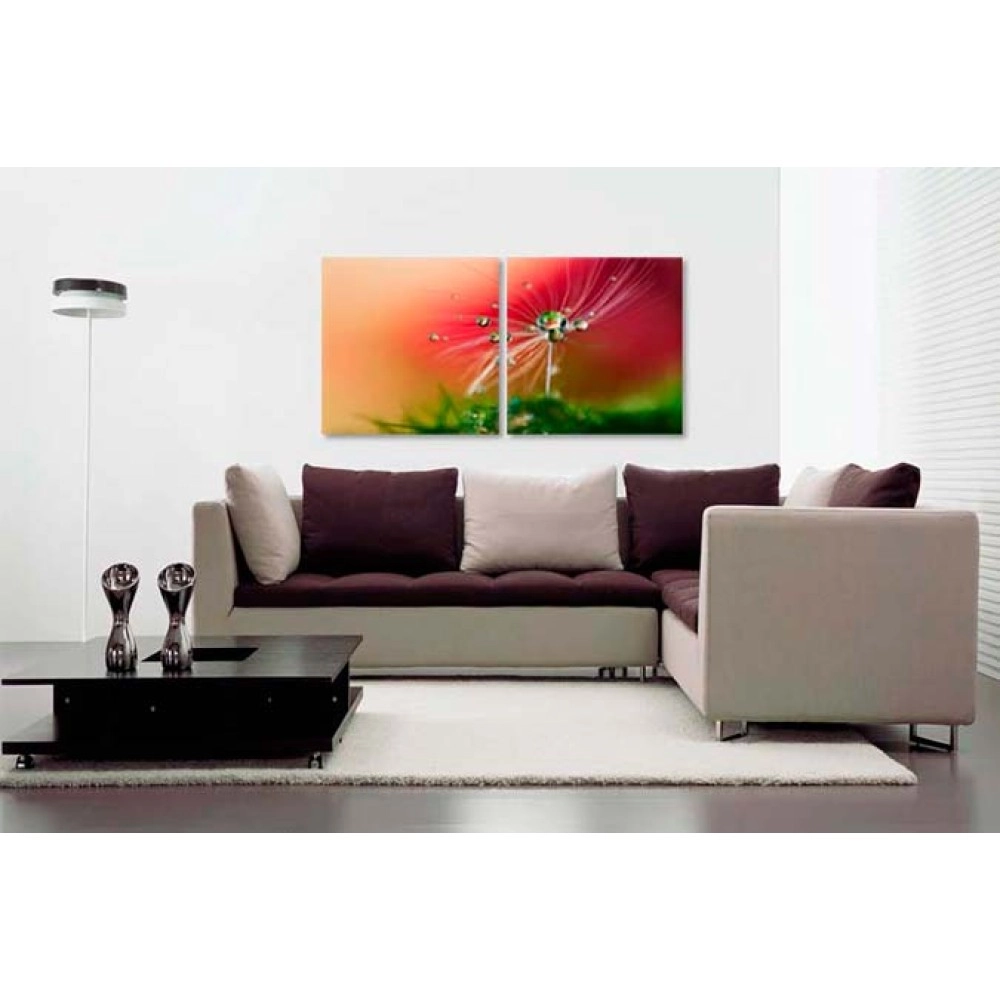 Tablouri canvas Papadie 2538