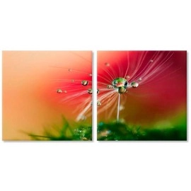 Tablouri canvas Papadie 2538