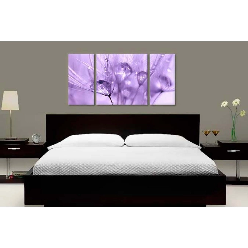 Tablouri canvas Papadie mov 5915