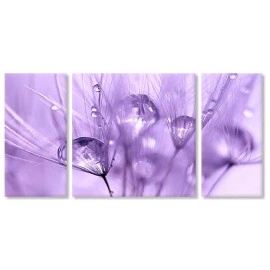 Tablouri canvas Papadie mov 5915