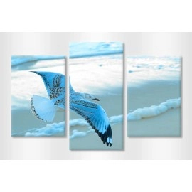 Tablouri canvas Pescarus in zbor 25340