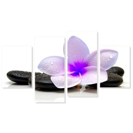 Tablouri moderne Plumeria 31711