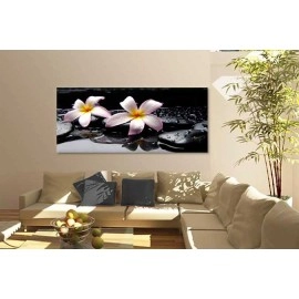Tablouri canvas Plumeria 7550