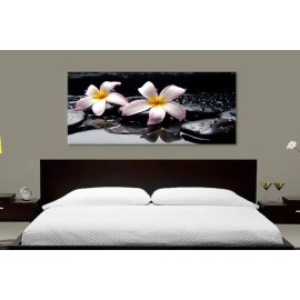 Tablouri canvas Plumeria 7550