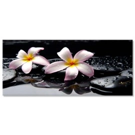 Tablouri canvas Plumeria 7550
