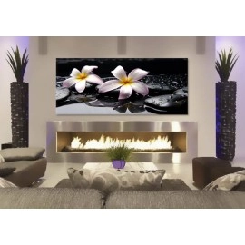 Tablouri canvas Plumeria 7550