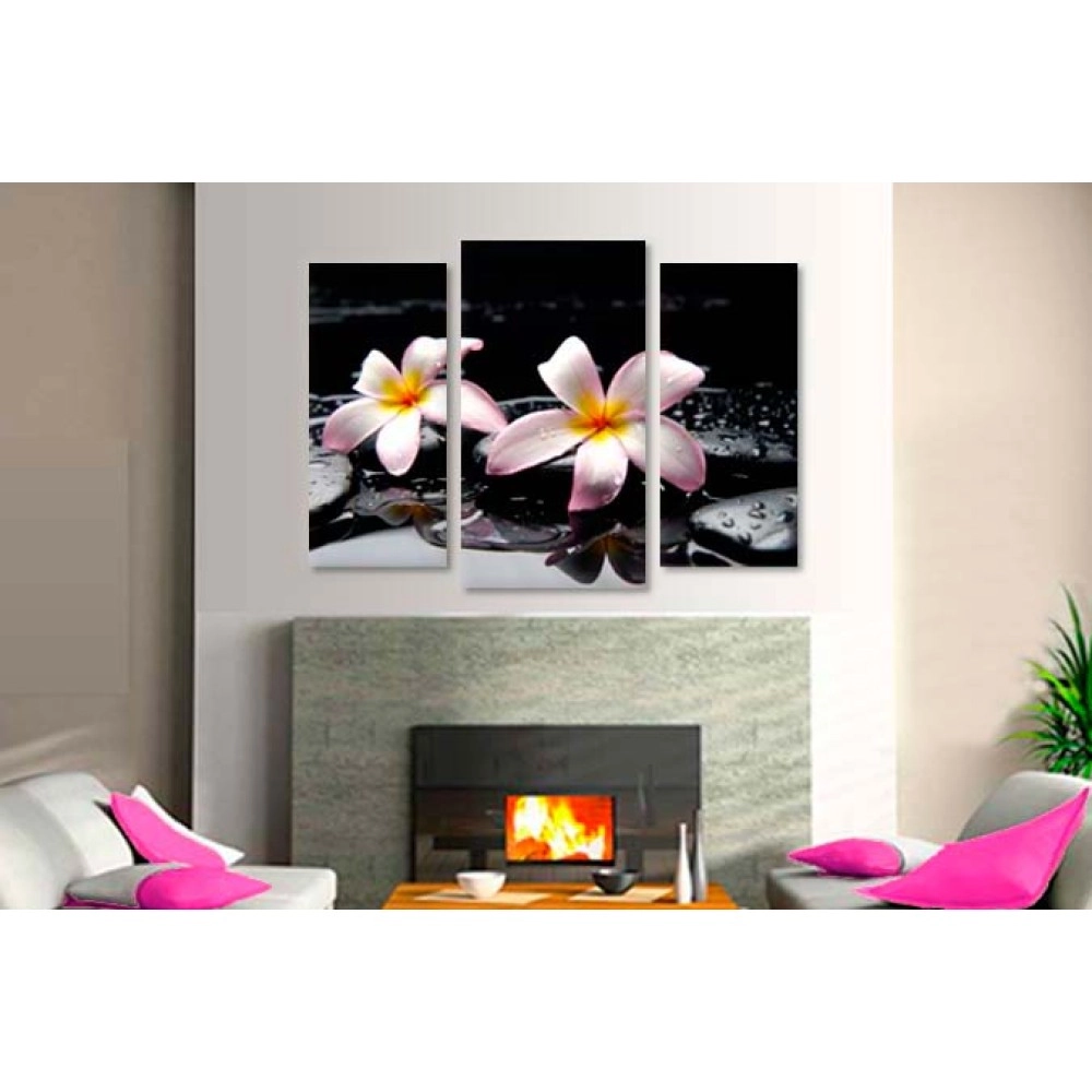 Tablouri canvas Plumeria pe pietre 75050
