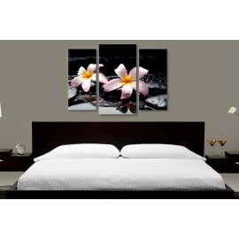 Tablouri canvas Plumeria pe pietre 75050