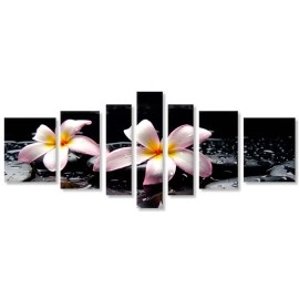Tablouri canvas Plumeria relax 75450