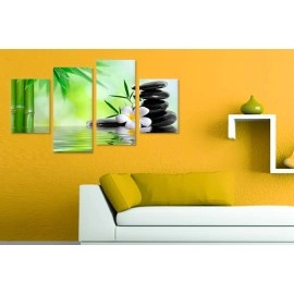 Tablouri canvas Bambus si Plumeria 57208