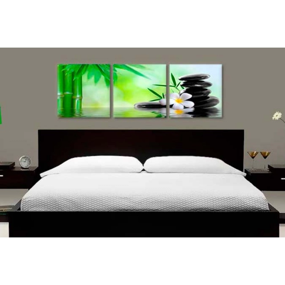 Tablouri canvas Plumeria bamboo 5708